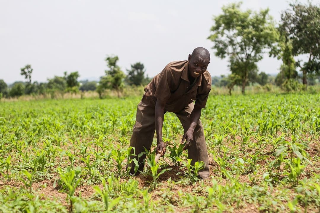 farmer_holding_a_hoe_and_smiling_to_the_camera.jpeg